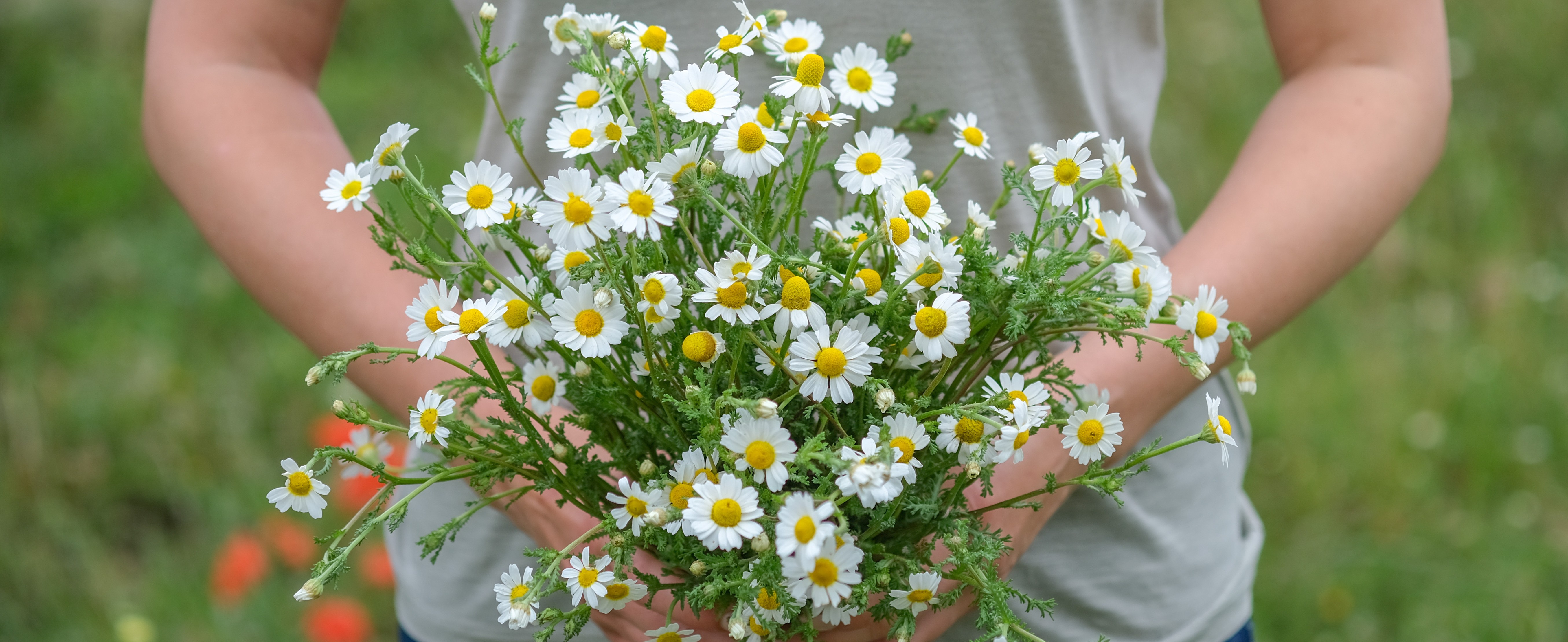 Blumen