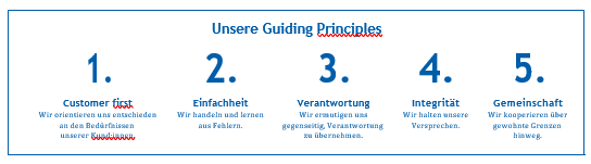 GUIDING Principles